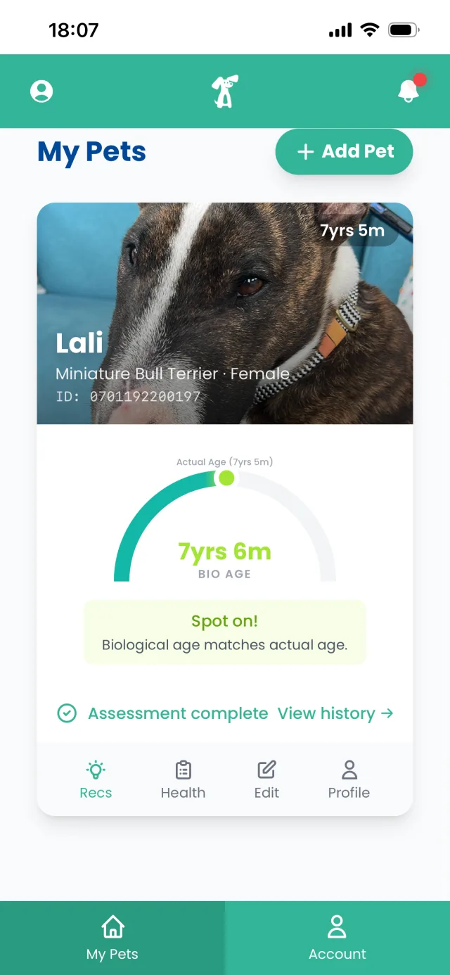 The y-ears app showing a dog's biological age compared to their actual age